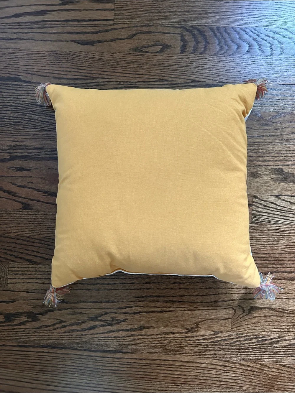 Target Room Essentials Embroidered 'just wanna have sun' Throw Pillow